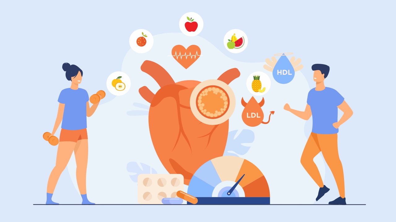 The Impact of Exercise on Cholesterol Levels
